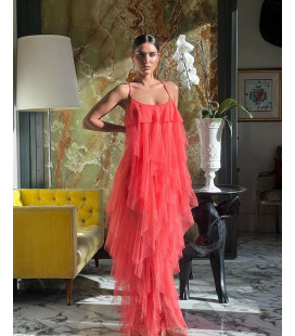 Tulle dress of times
