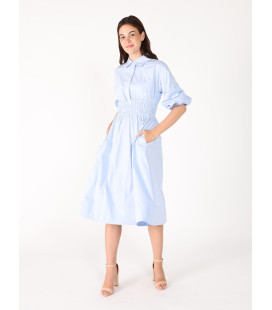 Ruched Puff Sleeve & Waist A Line Midi Dress
