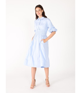 Ruched Puff Sleeve & Waist A Line Midi Dress