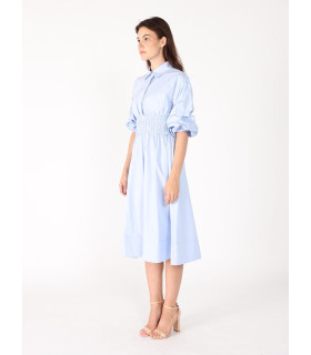 Ruched Puff Sleeve & Waist A Line Midi Dress