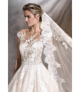 Long veil of lace and tulle